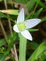 ��U�@�i����Ԃ�j