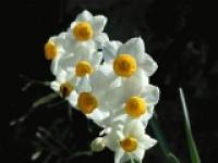 ����@�i��������j