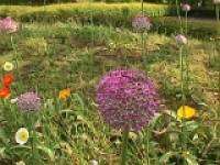 �M�K���`�E��