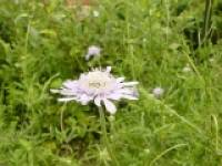 �X�J�r�I�T